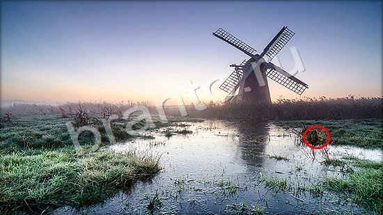 Где же кот ответы в картинках Уровень 7256