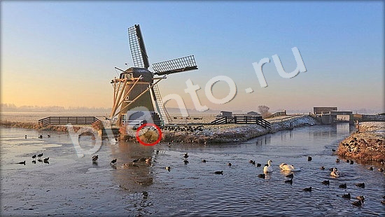 Игра Где же кот ответы Уровень 7257