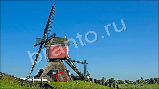 Игра Где же кот подсказки Уровень 7258