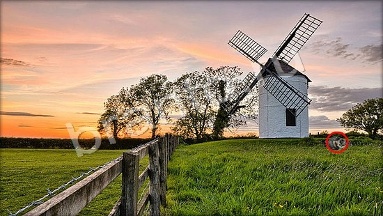 игра Где же кот помощь Уровень 7259