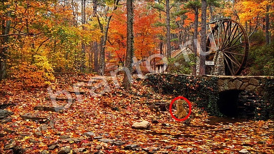 Игра Где же кот прохождение Уровень 7260