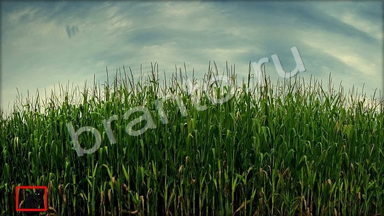 прохождение на игру Где же кот Уровень 7261