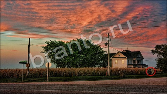 Где же кот игра ответы Уровень 7269