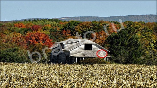 ответы на игру Где же кот Уровень 7274