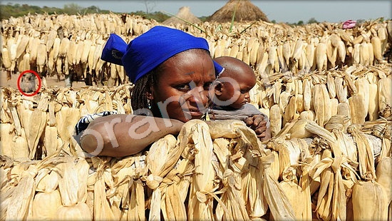 ответы в картинках на игру Где же кот Уровень 7277