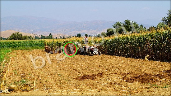 помощь на игру Где же кот Уровень 7278