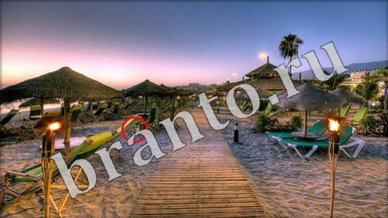 Подсказки на игру Где же кот Уровень 602