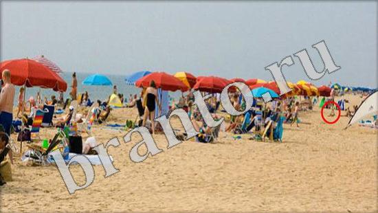 Решения на игру Где же кот Уровень 603