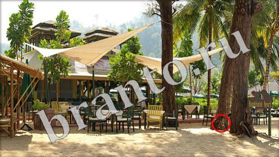 ответы к игре Где же кот Уровень 605