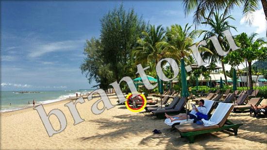 ответы на игру в одноклассниках Где же кот Уровень 606