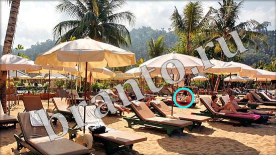 Где же кот игра ответы в одноклассниках Уровень 607