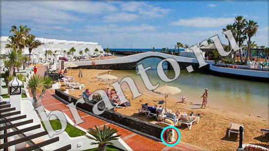 Где же кот? ответы Уровень 608