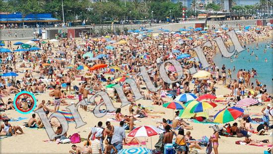 Где же кот? подсказки Уровень 609