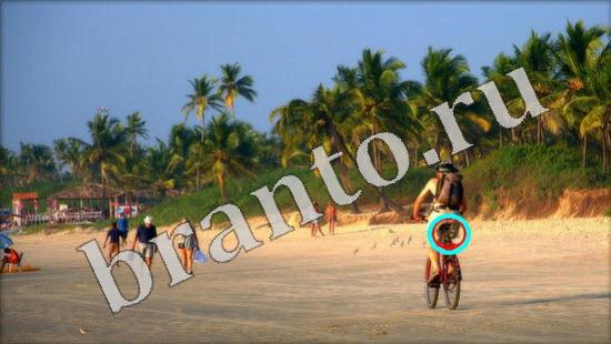 Где же кот? помощь Уровень 610