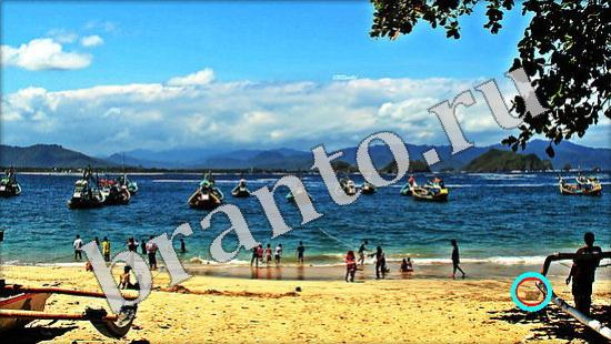 решебник на игру Где же кот Уровень 611