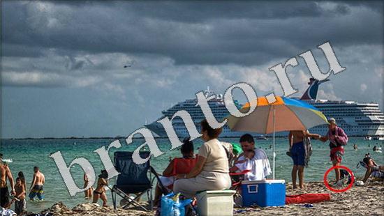 Где же кот? решения Уровень 612