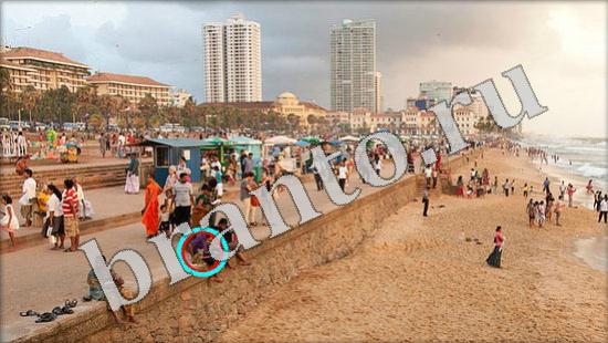 Где же кот игра подсказки Уровень 614