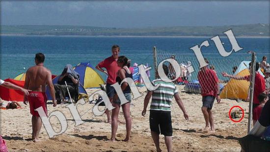 игра Где же кот помощь Уровень 619