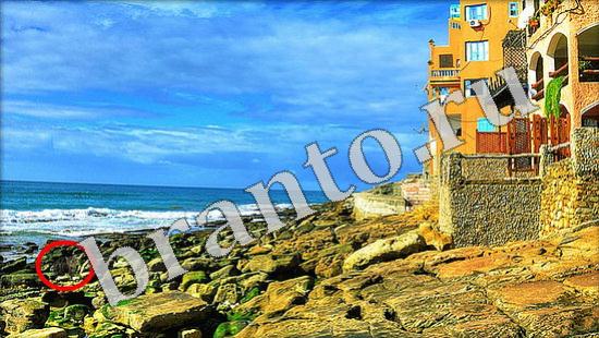 Игра Где же кот прохождение Уровень 620