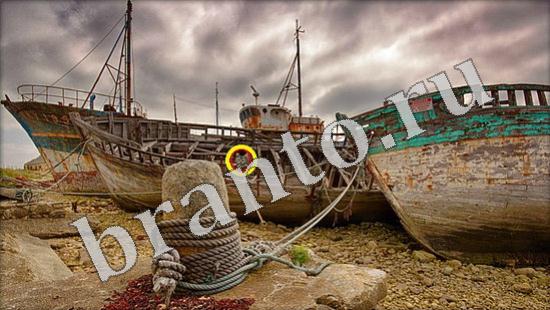 прохождение на игру Где же кот Уровень 621