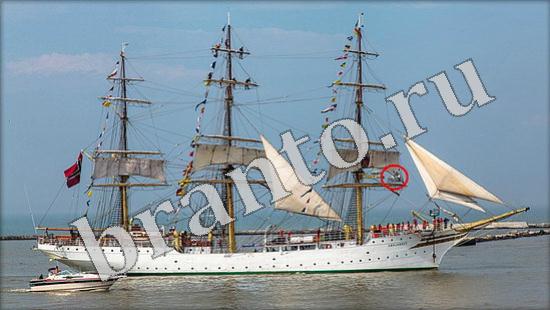 ответы для игры Где же кот Уровень 627