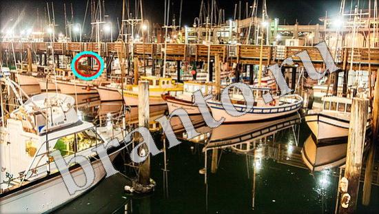 игра в одноклассниках Где же кот ответы Уровень 630