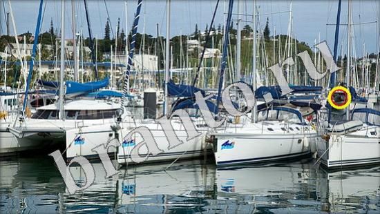 ответы на игру Где же кот Уровень 635