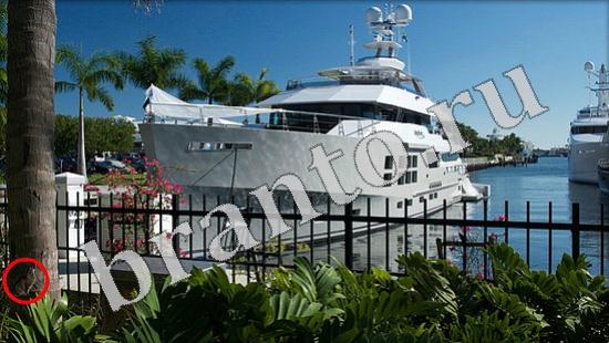 ответы на игру Где же кот Уровень 636