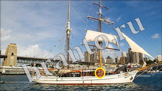 ответы на игру Где же кот Уровень 637