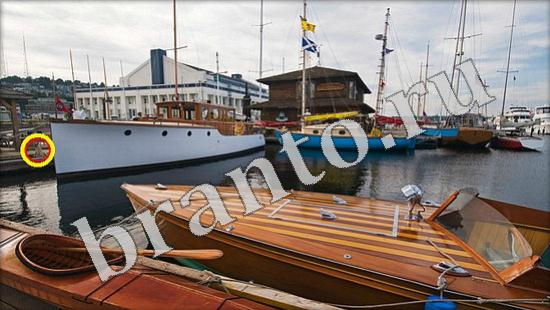 ответы на игру Где же кот Уровень 639