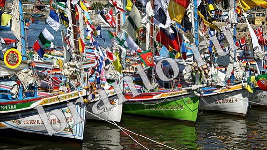 ответы на игру Где же кот Уровень 640