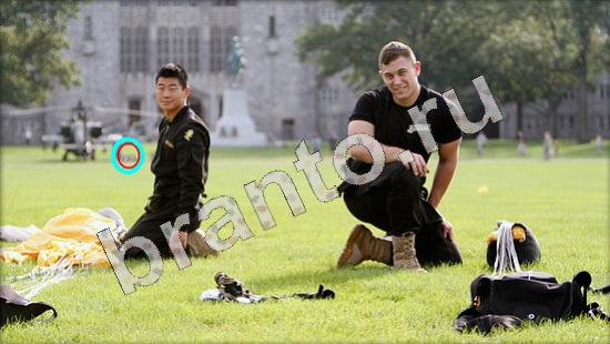 Где же кот игра ответы в одноклассниках Уровень 687