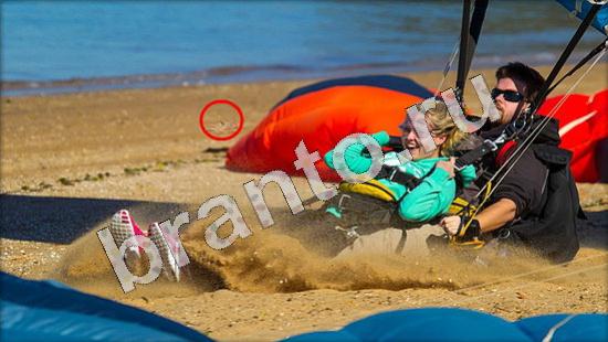 Где же кот? подсказки Уровень 689