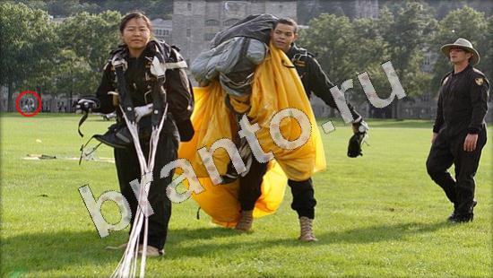 Игра Где же кот ответы Уровень 697