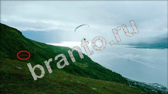 игра Где же кот помощь Уровень 699