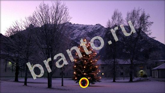 ответы на игру Где же кот в одноклассниках Уровень 703