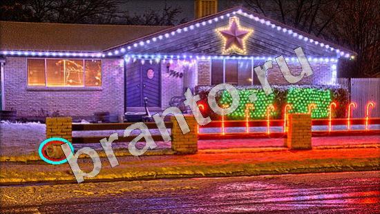 ответы Где же кот? в одноклассниках Уровень 706