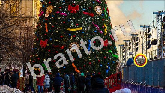 ответы для игры Где же кот Уровень 707