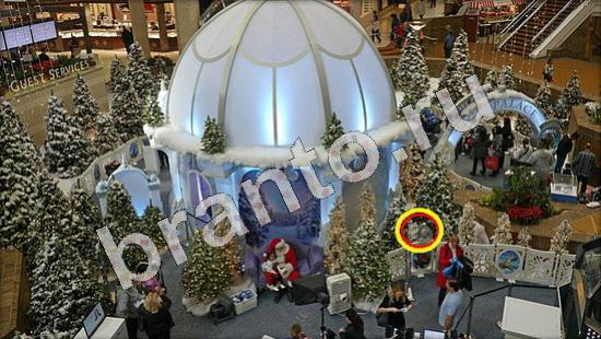 ответы на игру Где же кот в скриншотах Уровень 712