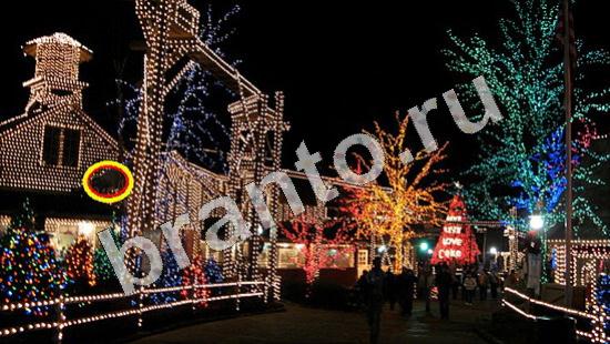 ответы на игру Где же кот Уровень 716