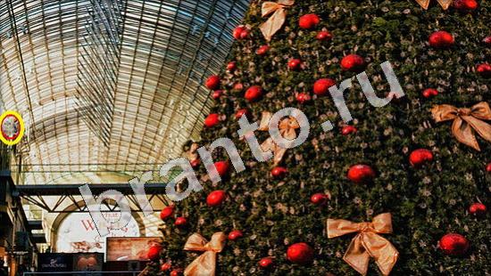 ответы на игру Где же кот Уровень 717