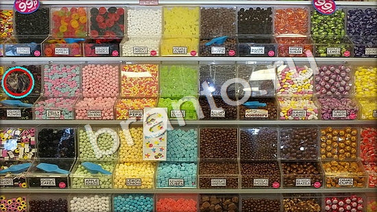 Решения на игру Где же кот Уровень 7323