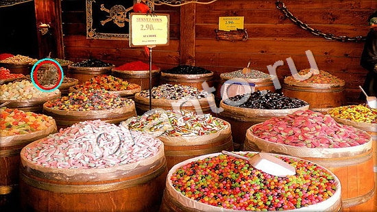 Помощь на игру Где же кот Уровень 7324