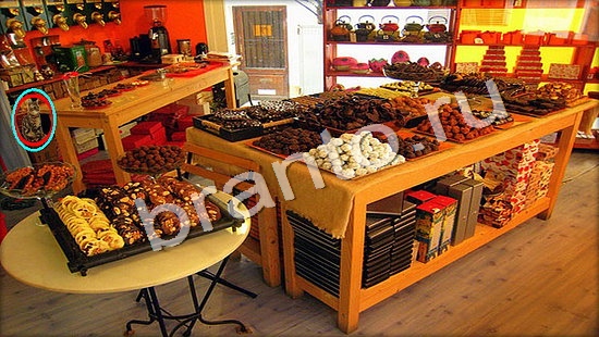 ответы на игру в одноклассниках Где же кот Уровень 7326