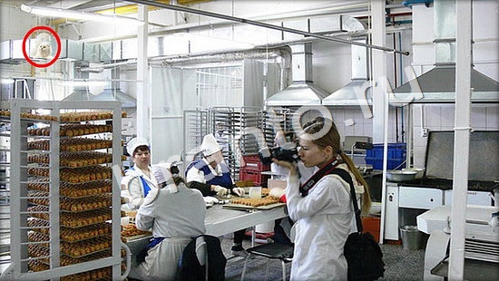 Где же кот? решения Уровень 7332