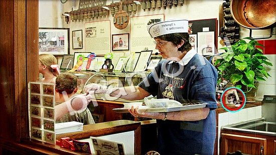 Где же кот ответы в картинках Уровень 7336