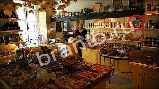 игра Где же кот помощь Уровень 7339