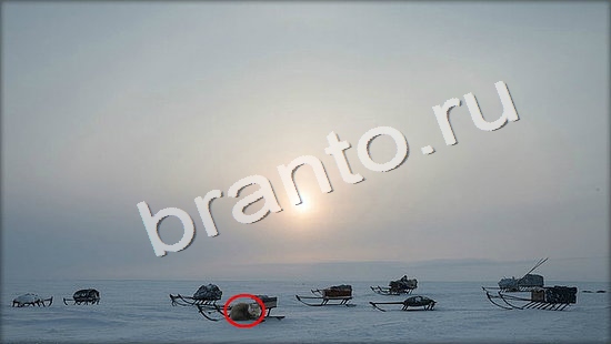 прохождение на игру Где же кот Уровень 7341