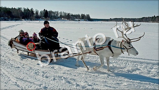 відповіді на игру Где же кот в одноклассниках Уровень 7343