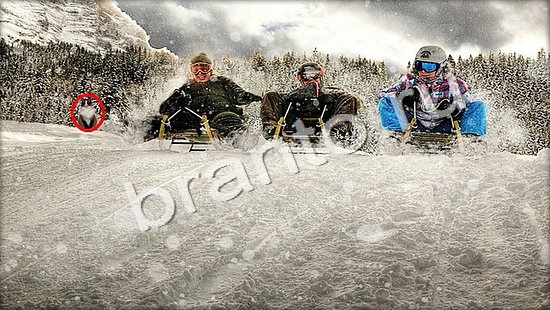 ответы Где же кот Уровень 7345